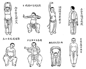 Lire la suite à propos de l’article Les 8 pièces de brocart ou Ba Duan Jin : une pratique millénaire de Qi gong pour la santé
