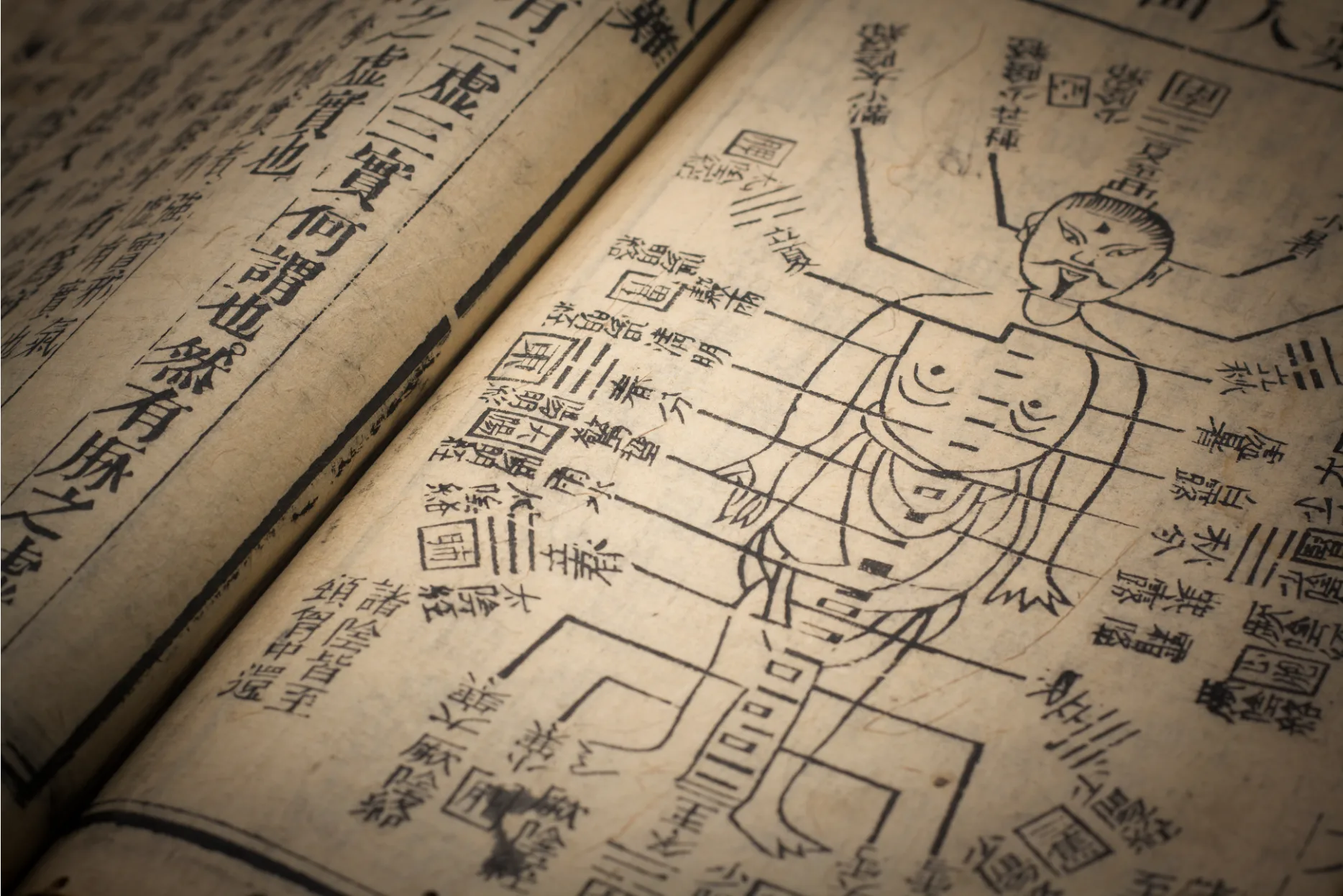Lire la suite à propos de l’article Les méridiens énergétiques en Qi Gong