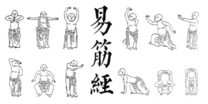 Lire la suite à propos de l’article Le Yi Jin Jing : le classique de la transformation des muscles et des tendons