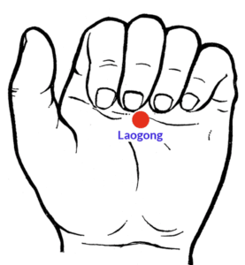 Lire la suite à propos de l’article Le point Lao Gong : porte énergétique du Qi Gong